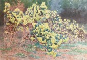 (i) Fujio Yoshida Flowering Bu