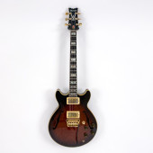 IBANEZ AM-255 HOLLOWBODY ELECT