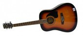 IBANEZ GUITARIbanez Guitar, mo