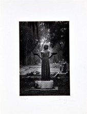 Iconic Savannah ''Midnight'' p