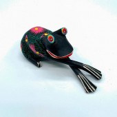 IGNACIO OJEDA COLORFUL OAXACAN