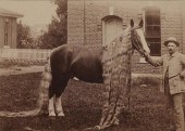 I.L. HAMMOND LEWISTON ME: HORS