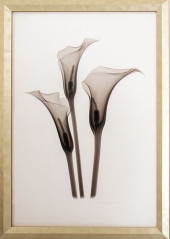 ILLEGIBLY SIGNED CONTEMPORARY