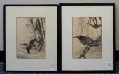 IMAO KEINEN, ASTOR KINGFISHER