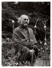 IMOGEN CUNNINGHAM (1883-1976),
