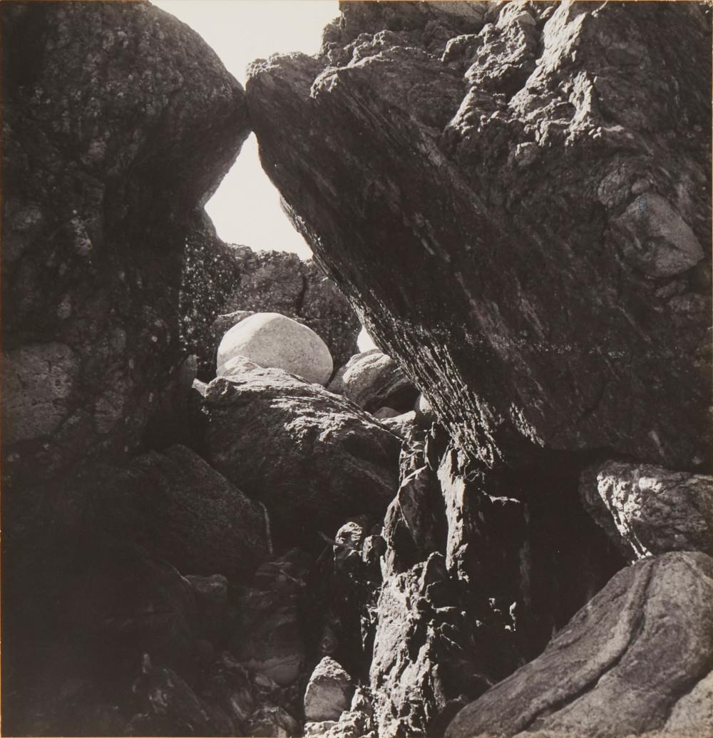 IMOGEN CUNNINGHAM (1883-1976),