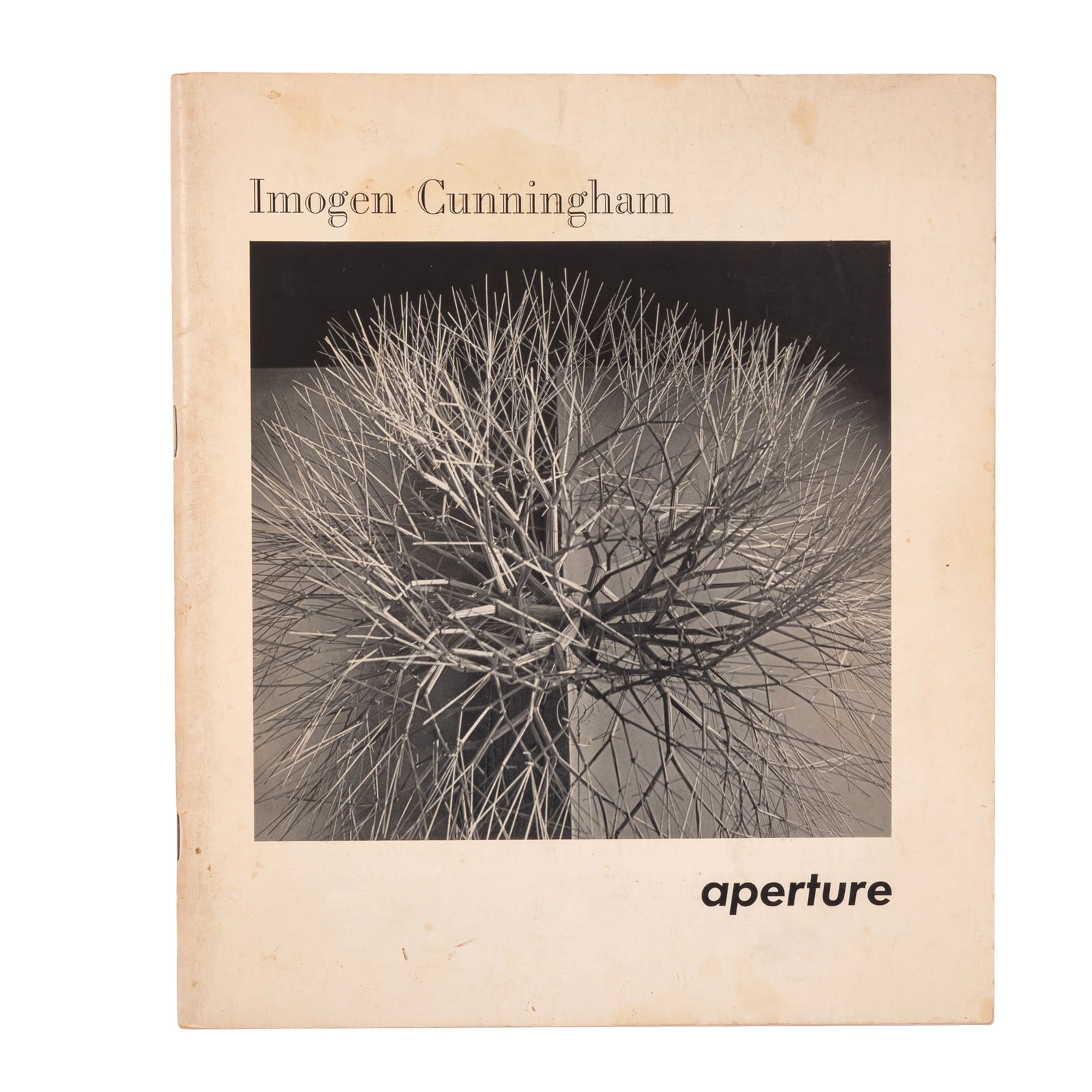 IMOGEN CUNNINGHAM (AMERICAN,