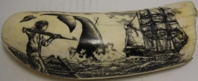 IMPORTANT BULL WHALES SCRIMSHAWED