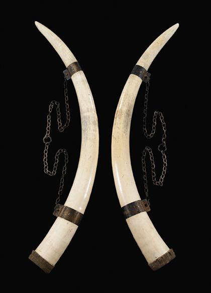 Impressive pair of elephant ivory