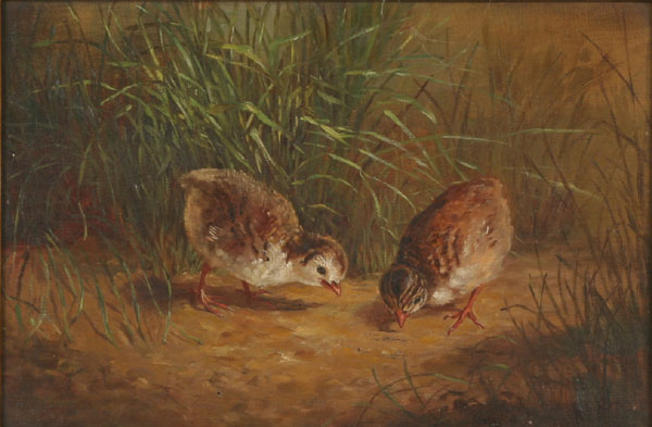 In the manner of Arthur Fitzwilliam