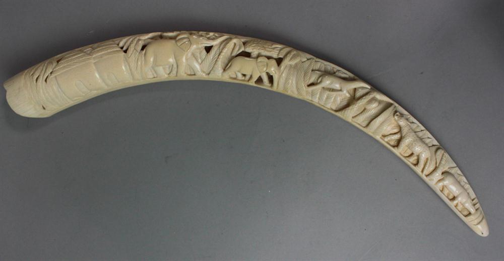 INDIAN IVORY CARVED TUSK the long
