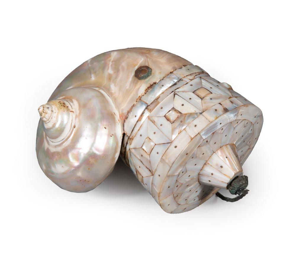 INDIAN TURBO MARMORATUS SHELL