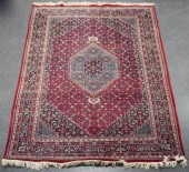 INDO-BIDJAR RUG, 9 FT X 6 FTIn