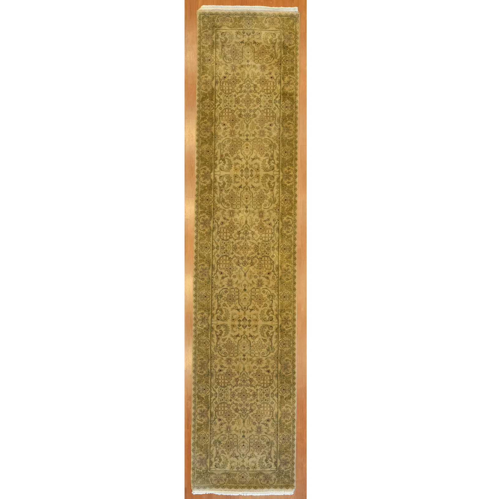INDO-JAIPUR RUNNER, INDIA, 2.6 X