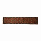 INDO-PERSIAN RUNNER<br>Indo-Pe