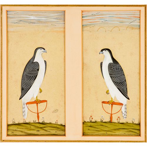 INDO-PERSIAN SCHOOL, (2) FALCON