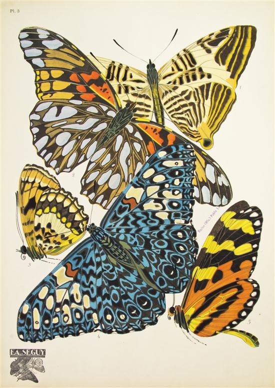 (INSECTS BUTTERFLIES) SEGUY E.A.