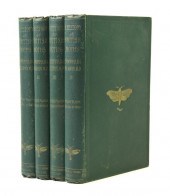 (INSECTS MOTHS) MORRIS FRANCIS