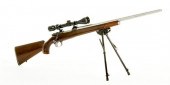 Interarms Mark X custom bolt a