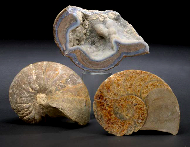 Interesting Agate and Limestone