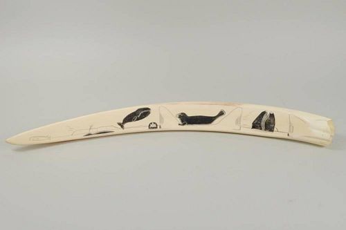 INUIT SCRIMSHAW WALRUS TUSKInuit