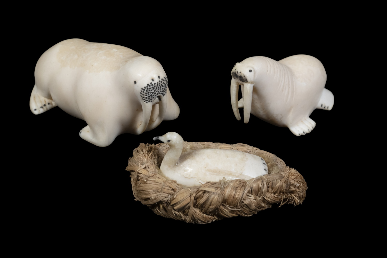 INUIT WALRUS IVORY CARVINGS Lot