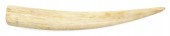 INUIT WALRUS TUSK ALASKA, 1904