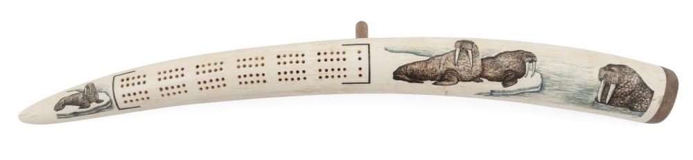 INUIT WALRUS TUSK CRIBBAGE BOARD