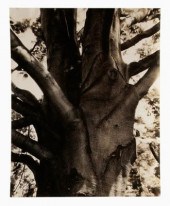 Ira Wright Martin photograph (
