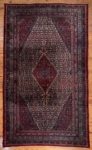IRANIAN 9' 2-1/2" X 15' 5"