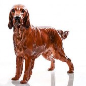 IRISH SETTER HN1054 - ROYAL DO