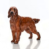 IRISH SETTER HN1056 - ROYAL DO