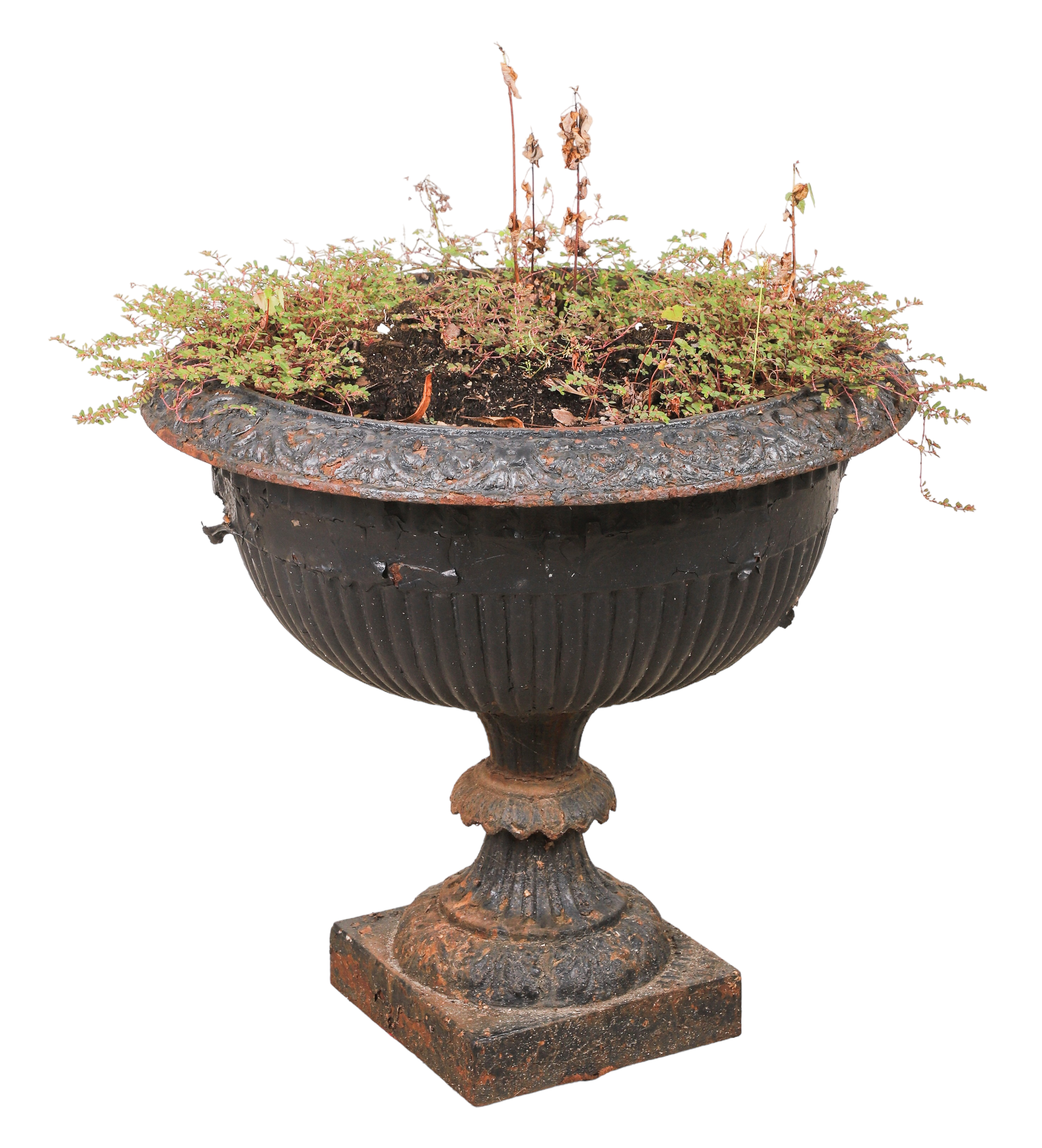 Iron painted urn form planter,