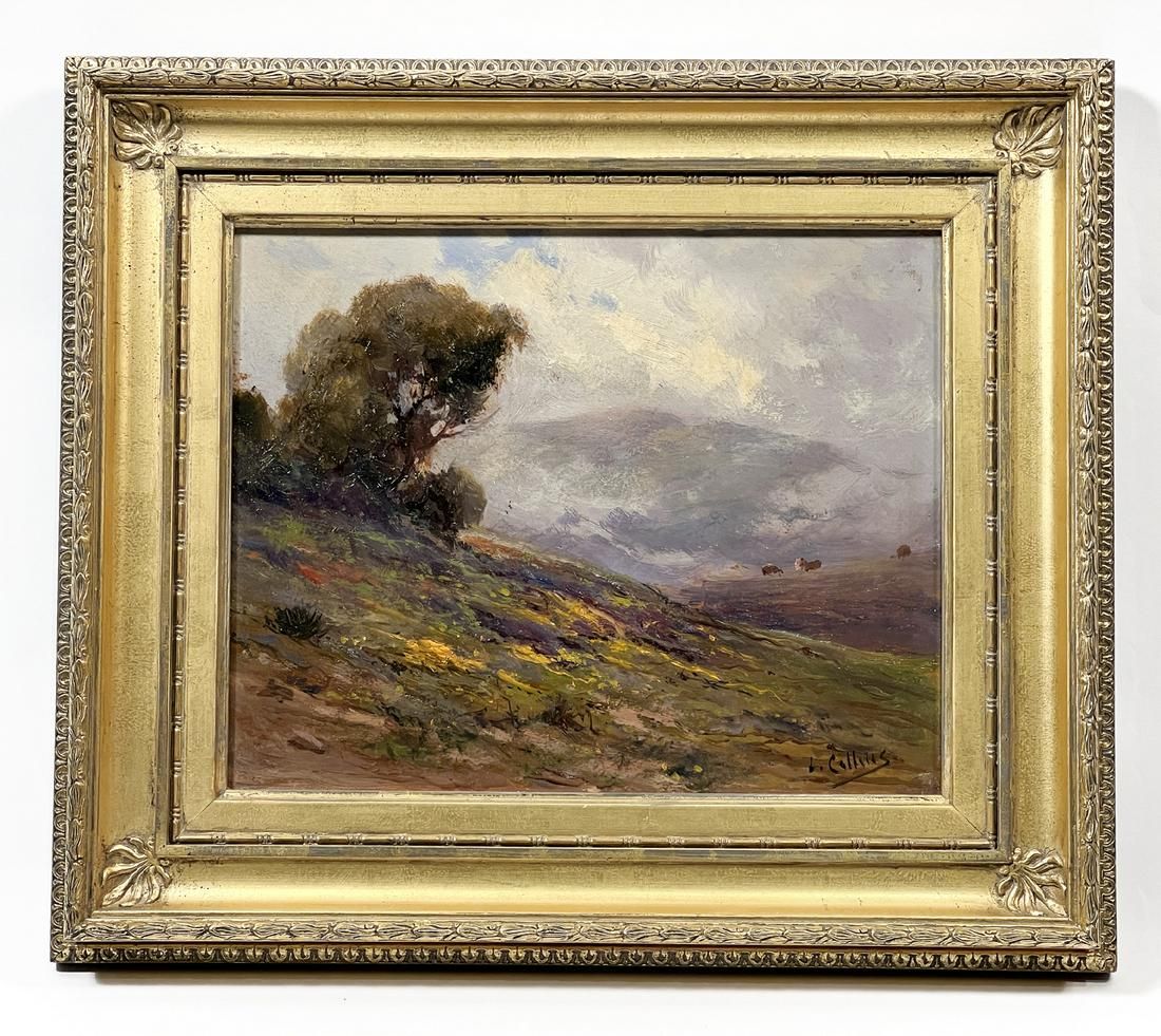ISABEL COLLINS, MARIN CO. HILLS,