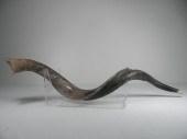 Israeli Ram's horn shofar. Par