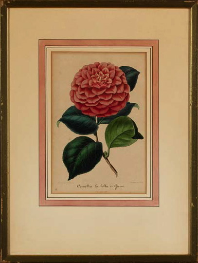 Italian School (19th Century) 