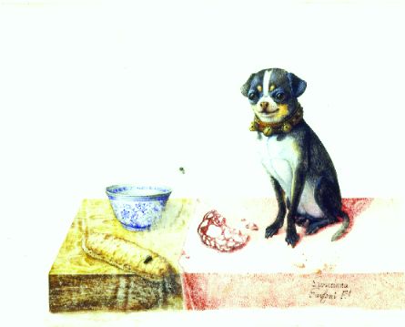 Italian School 20th Century Pug
