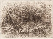 IVAN IVANOVICH SHISHKIN (1832-
