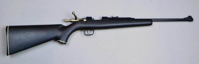 Iver Johnson Little Champ .22 LR