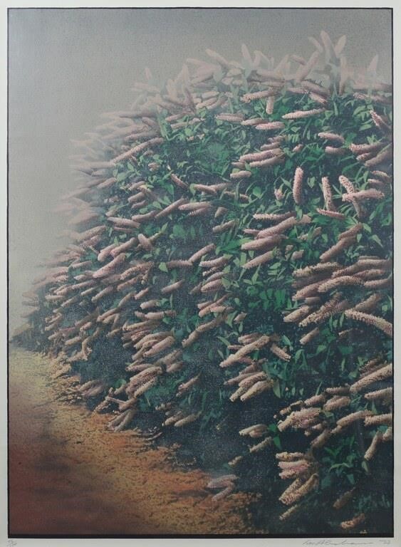 IVOR ABRAHAMS "HEDGES" BROWN AND