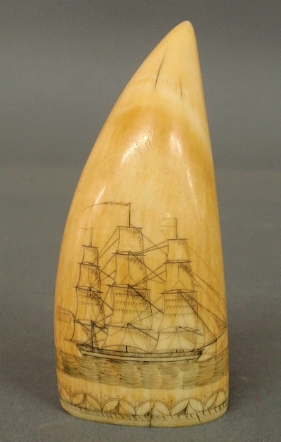 Ivory whale's tooth scrimshaw