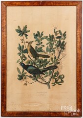 J. BIEN LITHOGRAPH AFTER AUDUB