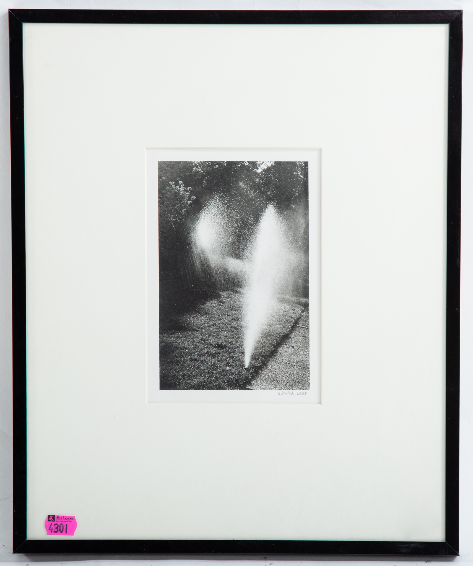 J. DUSUL. THE SPRINKLER. PHOTOGRAPH