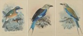 J. G. Keulemans Lith./Hanhart