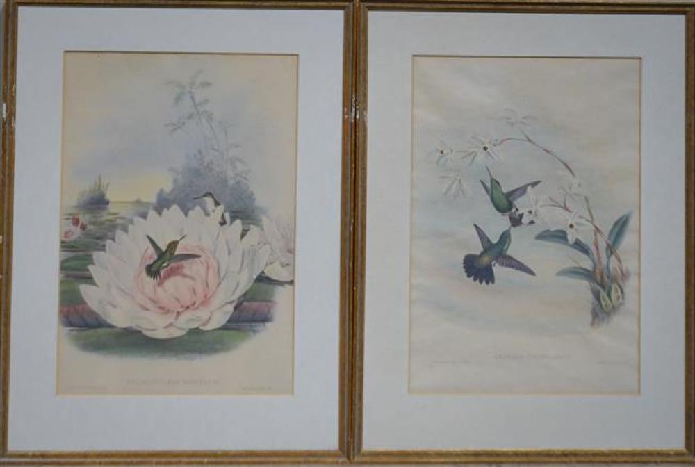 J. GOULD AND H.C. RICHTER,