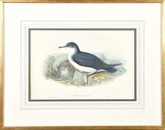 J. Gould & H.C. Richter British