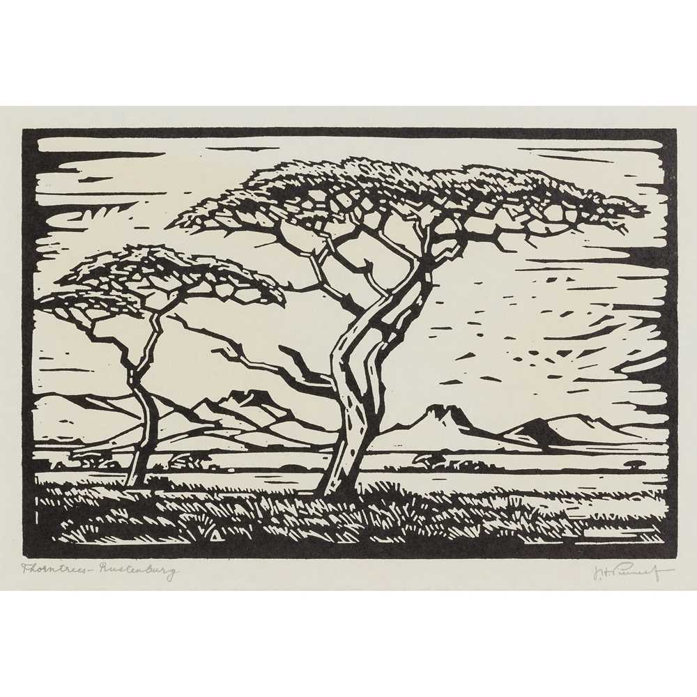 J. H. PIERNEEF (SOUTH AFRICAN