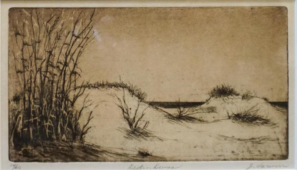 J. HARENOSE, 'DESTIN DUNES',