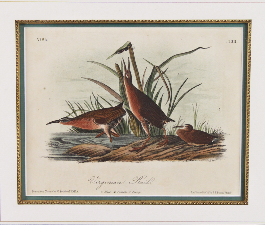 J. J. AUDUBON AND JT BOWEN VIRGINIA
