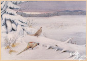 J. RANDOLPH ROWE, WATERCOLOR W